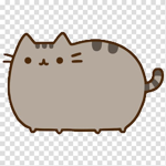 Mysty the fat cat
