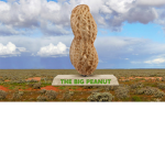 TheBigPeanuts