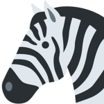 Zebra Krew