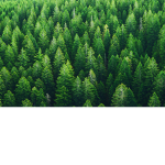 Green only group$$$