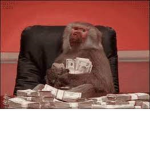 dough monke