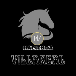 VILLAREAL FARM (BETA)