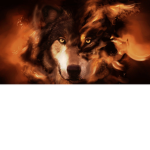 EXP Clan