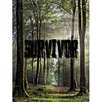 Survivor