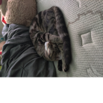Hi I'm mika nice to meet you all