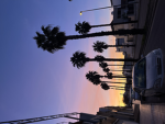 Ja~ni~re_roblox fans