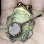 frog with a banjo