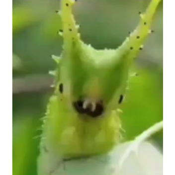 Innovation Inc. Containment Facility (READ DESC)