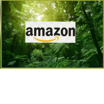Amazon and friends