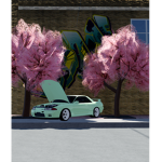 Car commutiny