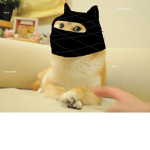 Doge United Exp
