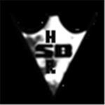 Spy Blox: High Ranks