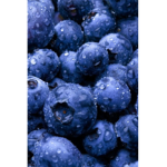 WE LOVE BLUEBERRYS YUMMY