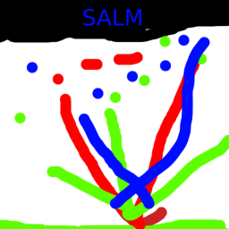 Salm (UPDATE)