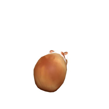 Guinea Pig Scripted