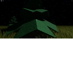 <dark Forest group>