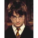Harry Potter Fan Group :D :D :D :D