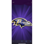 The Baltimore Ravens group