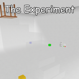 The Experiment