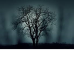 The Darkers