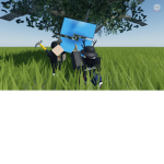 Arid Dev's