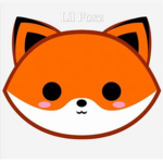 LILZ FOXES