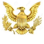 Gold Dolphin's Club
