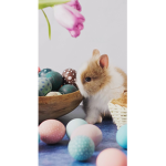 Bunny pack UwU