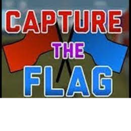 capture the flag