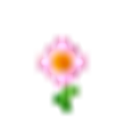 *Flowers squad