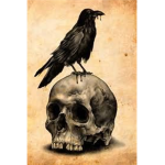 BlackRavenAssassins B.R.A