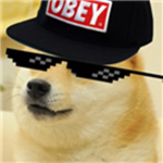 The Mlg Doge Group