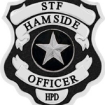 Hamside Specialized Task Force