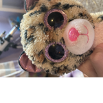 stuffy girls