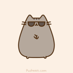 The Kool Kat's