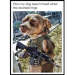 WE LOVE DOGOS