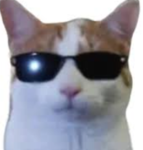 ThaCrazyCreatures