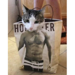 Tropa do Gato7