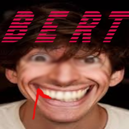 BERT(ALPHA)