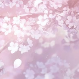 ˖ ֹ੭୧ a ⊹ ⑅