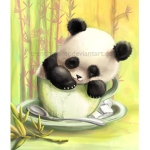 Simply Panda Group
