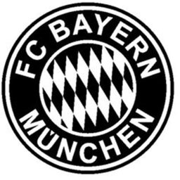 FC Bayern München Pitch