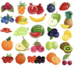 We Are Fruit