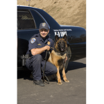 [CHP]K9-Unit