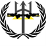 UNSC Navy Divisoin