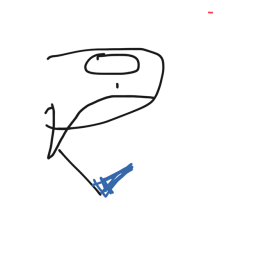 Orca stole the flag