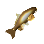 Golden Koi