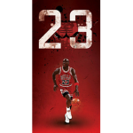 Micheal jordan fan page