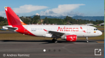 Avianca fans
