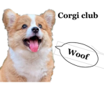 Corgi fan clubbbbbb!